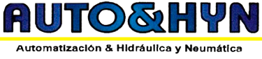 Auto&Hyn